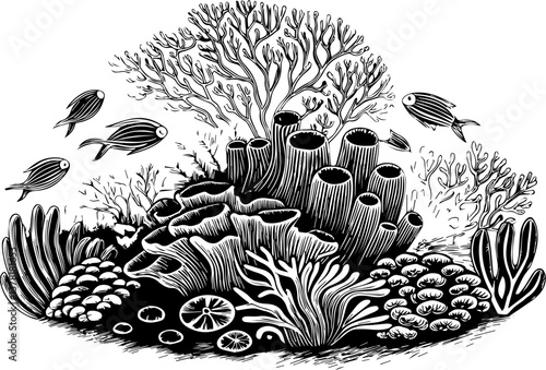 Maritime life featuring ocean flora and fauna in SVG and vector formats. Black and White Illustration of Coral Reef and Fish Landscape