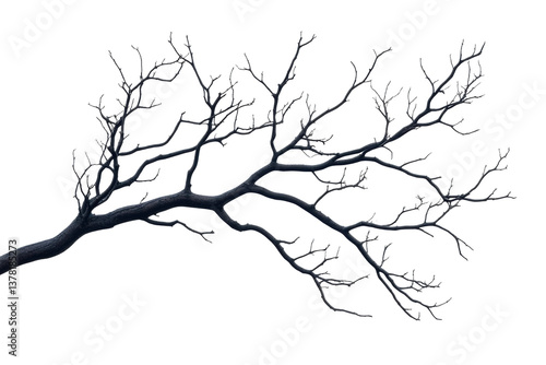 Obraz na płótnie Intricate black tree branch with detailed twigs against black background, cut out w salonie