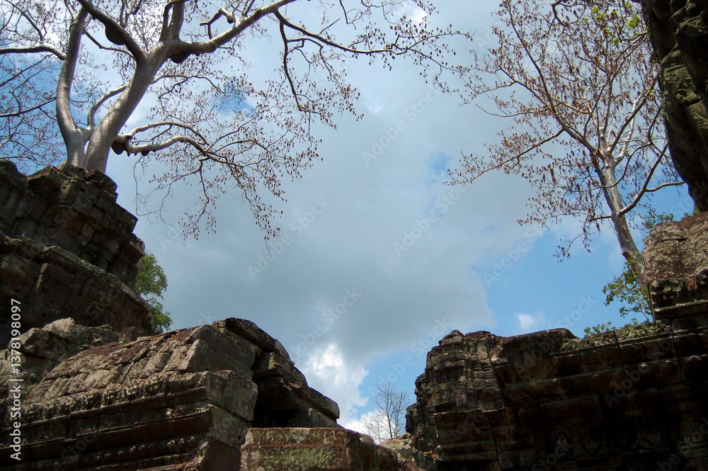 Naklejka premium Tree roots and Ancient ruins antique building Prasat Ta Prohm or Ancestor Brahma temple of Angkor Wat for Cambodian people travelers travel visit respect praying at Angkor Thom in Siem Reap, Cambodia