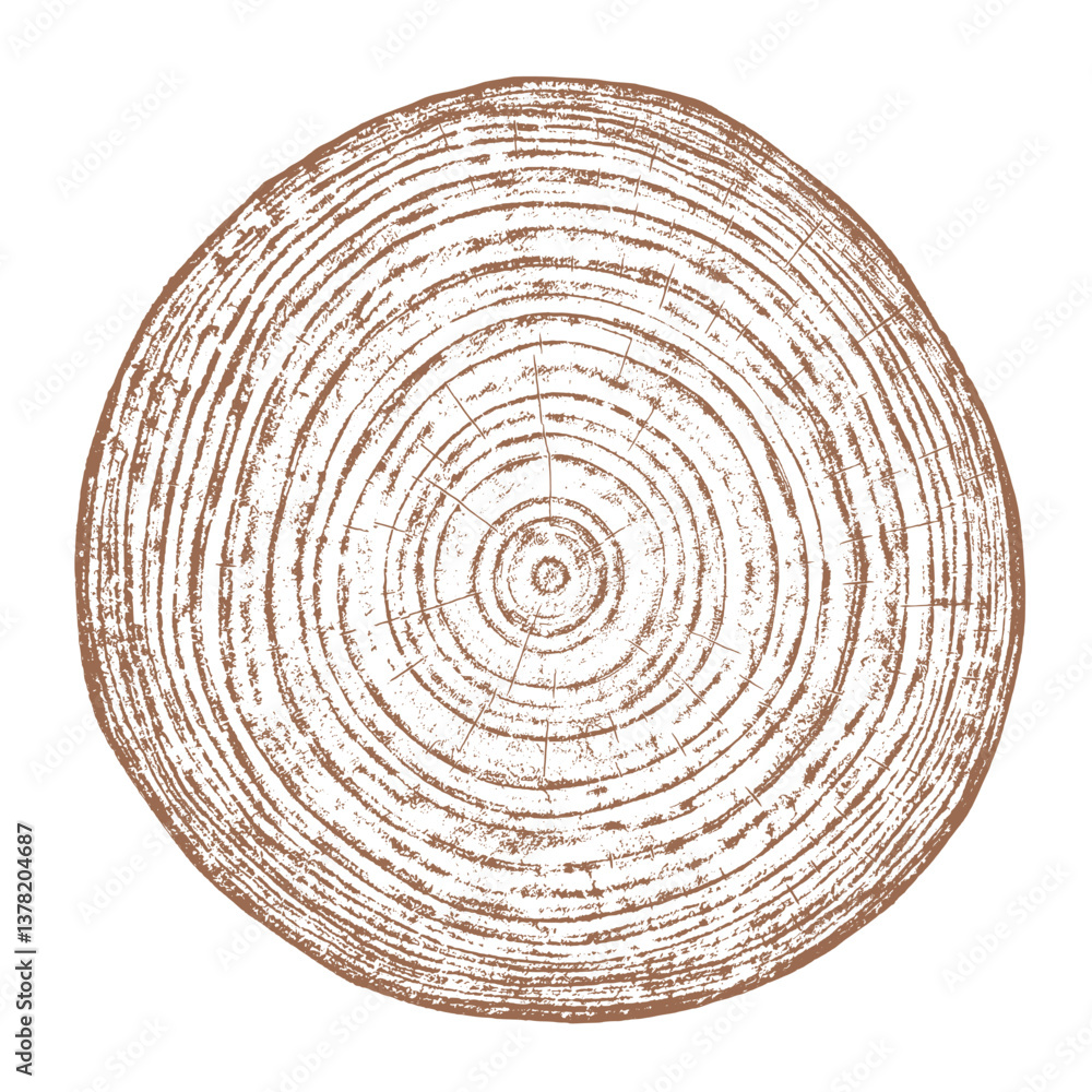 Tree wood texture. Wooden old trunk. Cut timber log. Abstract rings nature pattern. Brown circle stump. Wood cross section.