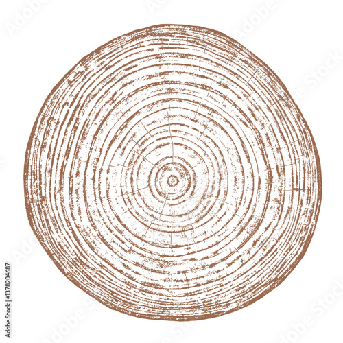 Obraz na płótnie Tree wood texture. Wooden old trunk. Cut timber log. Abstract rings nature pattern. Brown circle stump. Wood cross section. w salonie