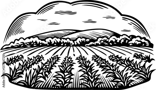 Idyllic farmland illustration with crops and rolling hills under a cloudy sky