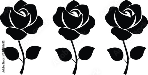 Three Rose Silhouette with Stem and Leaves on Transparent Background, Floral Design