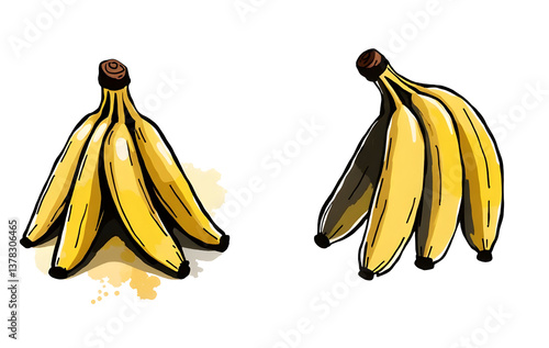 Obraz na płótnie Two illustrated bunches of ripe bananas. cut out,isolated, transparent background w salonie