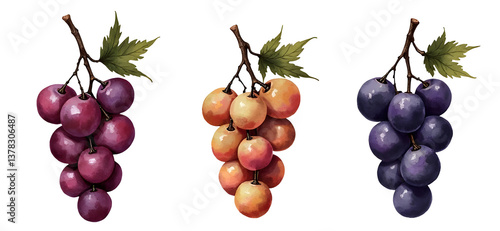 Obraz na płótnie Three clusters of colorful grapes, showcasing different shades and textures. cut out,isolated, transparent background w salonie