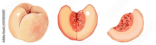 Obraz na płótnie Illustration of a peach sliced open, showcasing its pit and inner structure. cut out,isolated, transparent background w salonie
