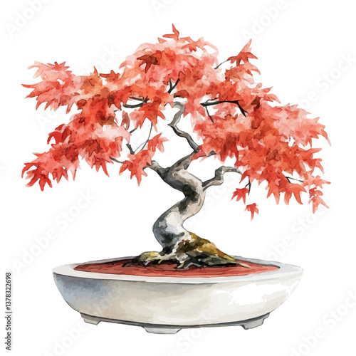 A watercolor vector painting of Japanese Maple Bonsai, isolated on a white background.

