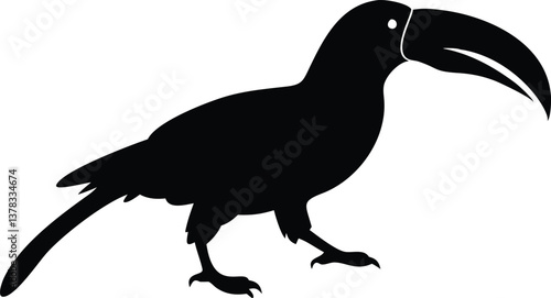 Hornbill Bird Standing Silhouette with Transparent Background for Wildlife