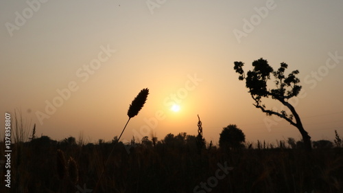 Canvas Print Sunset paints golden fields as shadows lengthen.