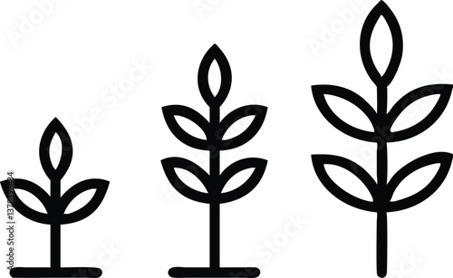 Growing Plant Stages Showing Development with Leaves; Isolated on a White Background