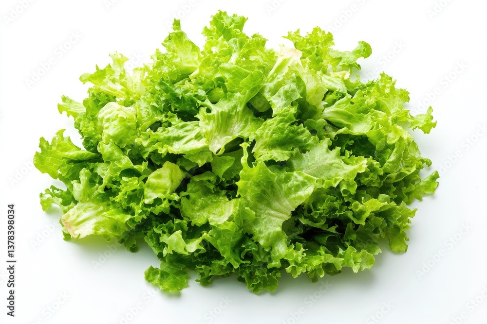 Fresh, vibrant green leafy lettuce, piled high Fresh, vibrant green leafy lettuce, piled high