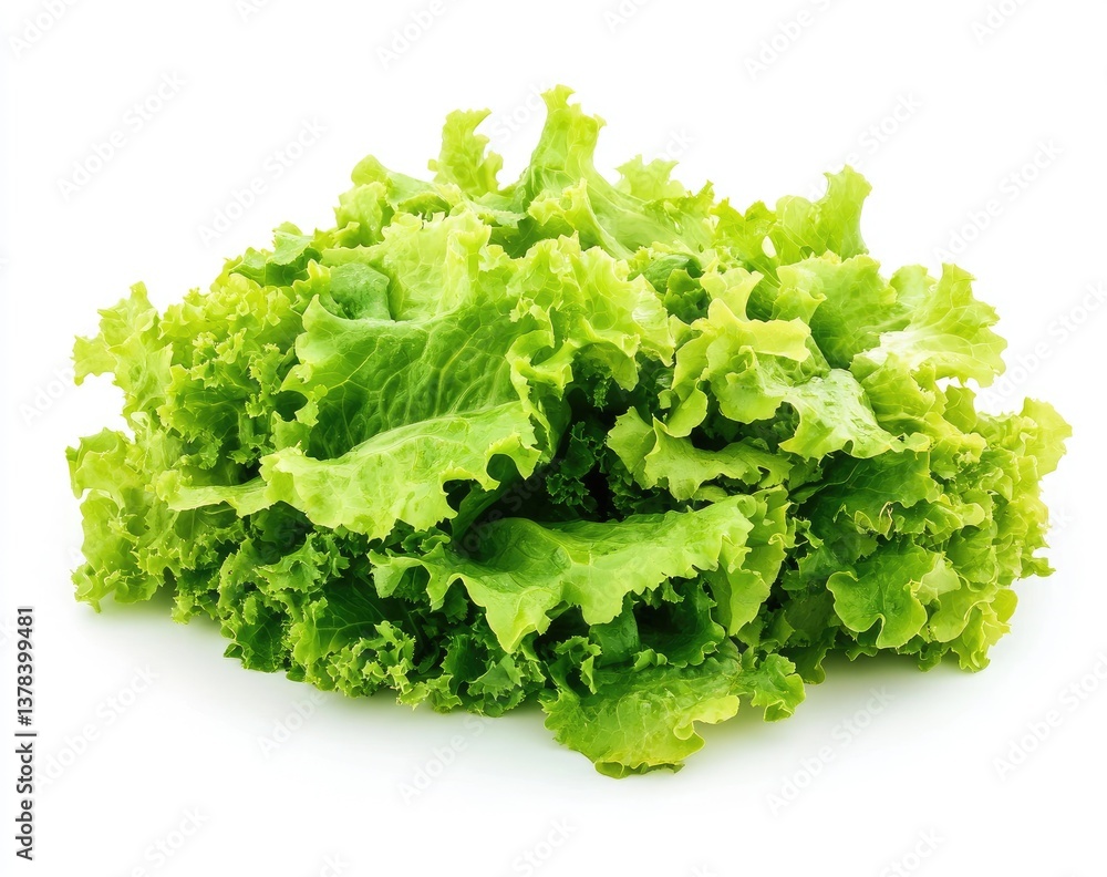 Fresh, vibrant green lettuce leaves. A close-up image of a pile of crisp, healthy lettuce, perfectly showcasing the fresh, vibrant green color and texture Fresh, vibrant green lettuce leaves. A close-up image of a pile of crisp, healthy lettuce, perfectly showcasing the fresh, vibrant green color and texture