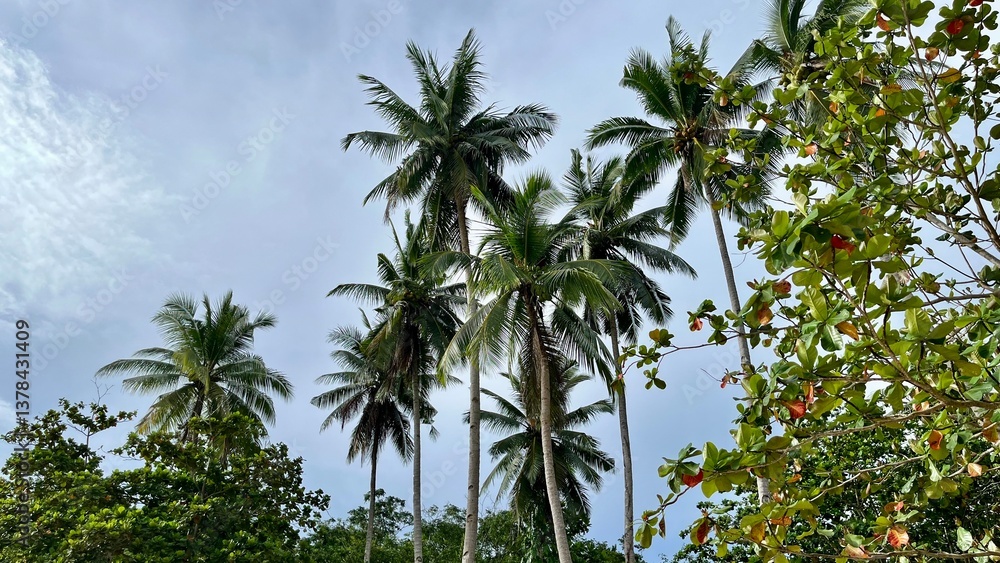 Naklejka premium palm trees and blue sky