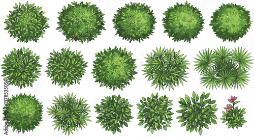Overhead view of various lush green shrubs and plants.