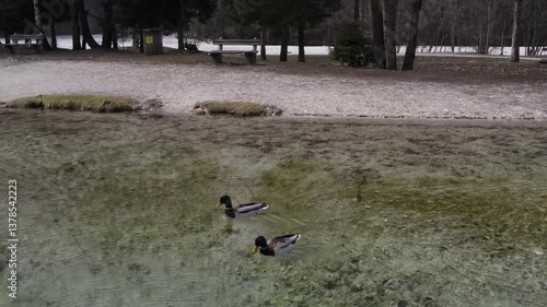 Beautiful aerial view Lake Jasna Slovenia near Alpes