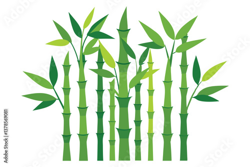 Stylized Bamboo Stalks with Green Leaves on White Background, Nature