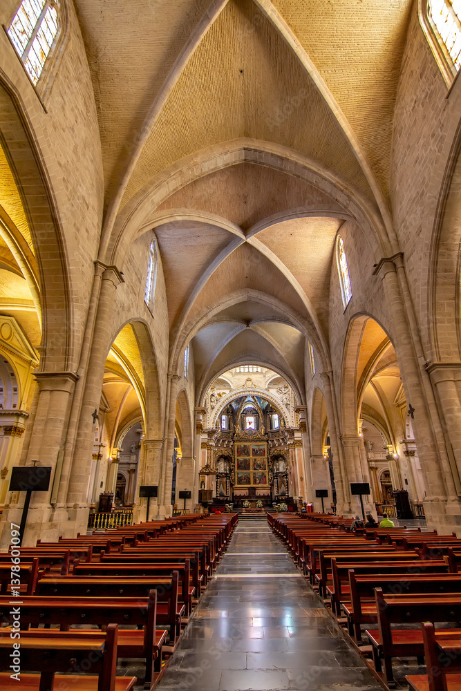 Interior of the Valencia Cathedral Roof and Arches, Spain