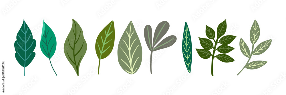 Naklejka premium Vector illustration featuring a collection of diverse leaf shapes. Each leaf showcases different colors and shapes, perfect for botanical projects and nature-themed designs.