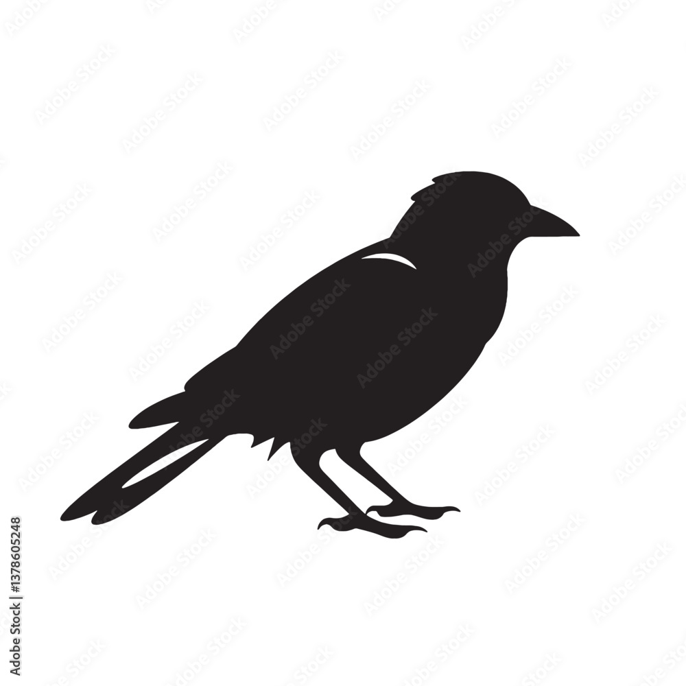 Obraz premium Black crow silhouette, a vector illustration of a wild bird in nature
