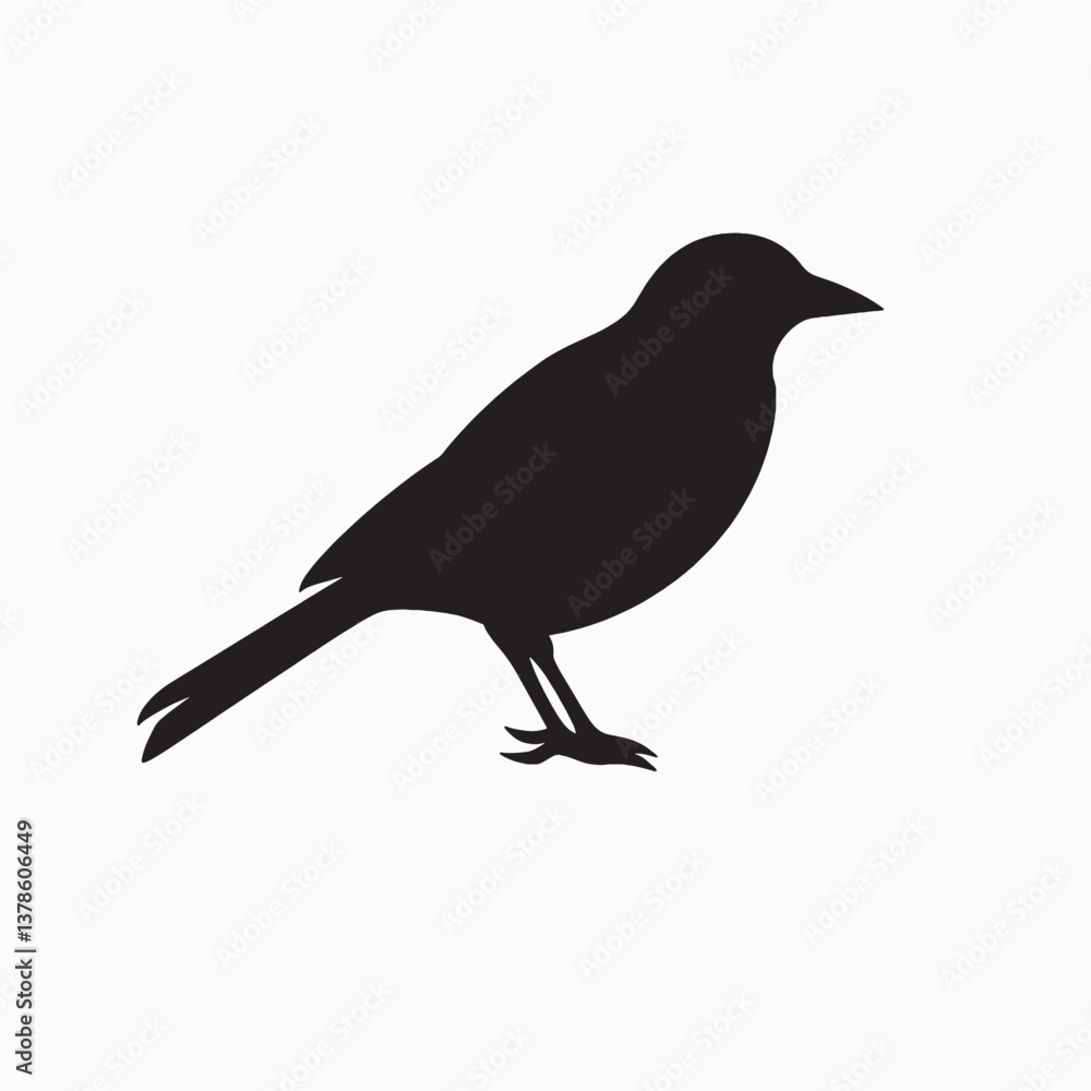 Obraz premium A black crow, a wild bird of nature, stands isolated on a white background with its beak visible while perched on a branch