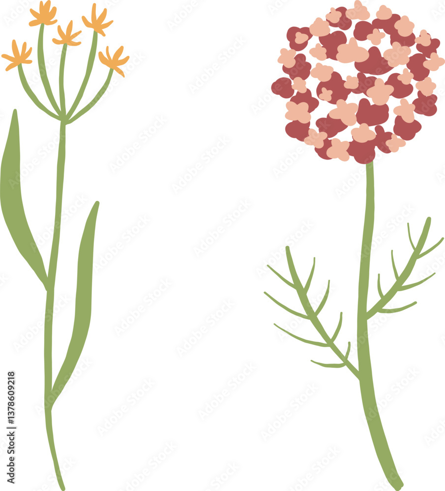 Naklejka premium Flower hand drawing watercolor cute minimalist cute element set