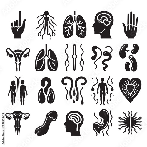 Anatomy Stroke icon collections. Containing hair, finger, human body, lungs, legs, organs, sperm, kidneys and heart icons. silhouette vector style with white background