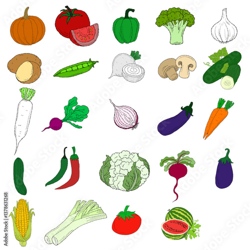 cartoon style vegetable drawing.
