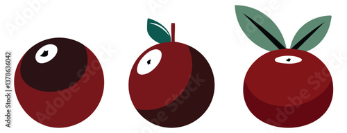 Vector illustration of fresh cranberries isolated on white background healthy fruit and berry design