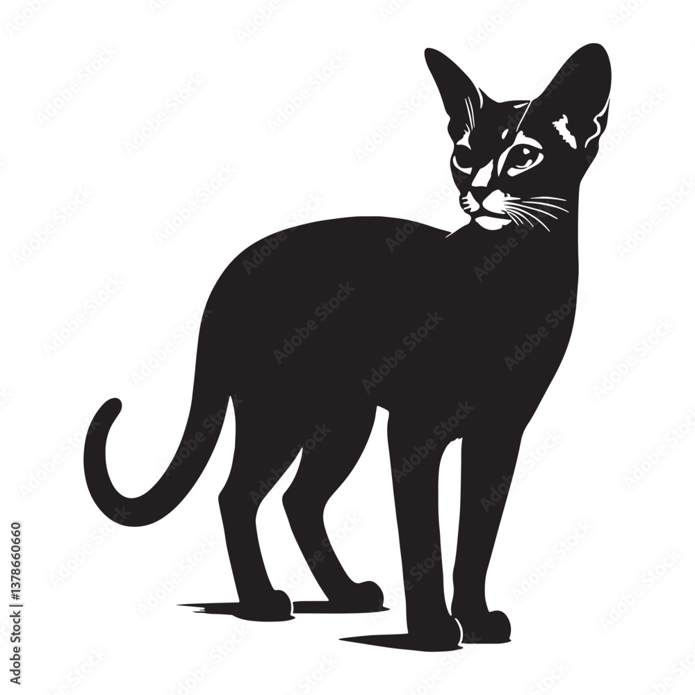 Fototapeta premium Dynamic Abyssinian silhouette, exuding energy and charm - Abyssinian illustration - Abyssinian vector - cat silhouette