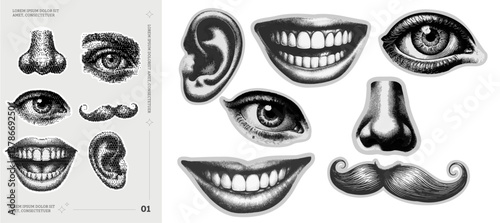 Facial features—eyes, ears, noses, mouths, and mustaches for collage art