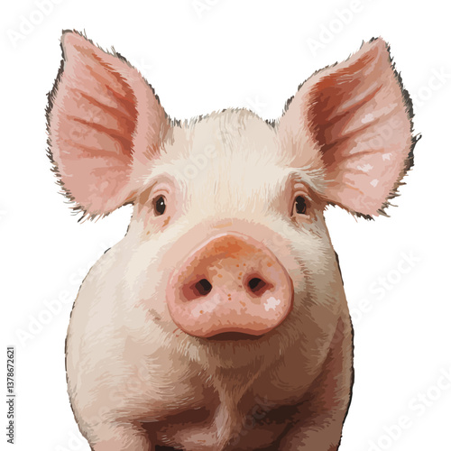 pig, animal, vector, transparent background