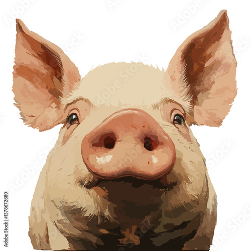 pig, animal, vector, transparent background
