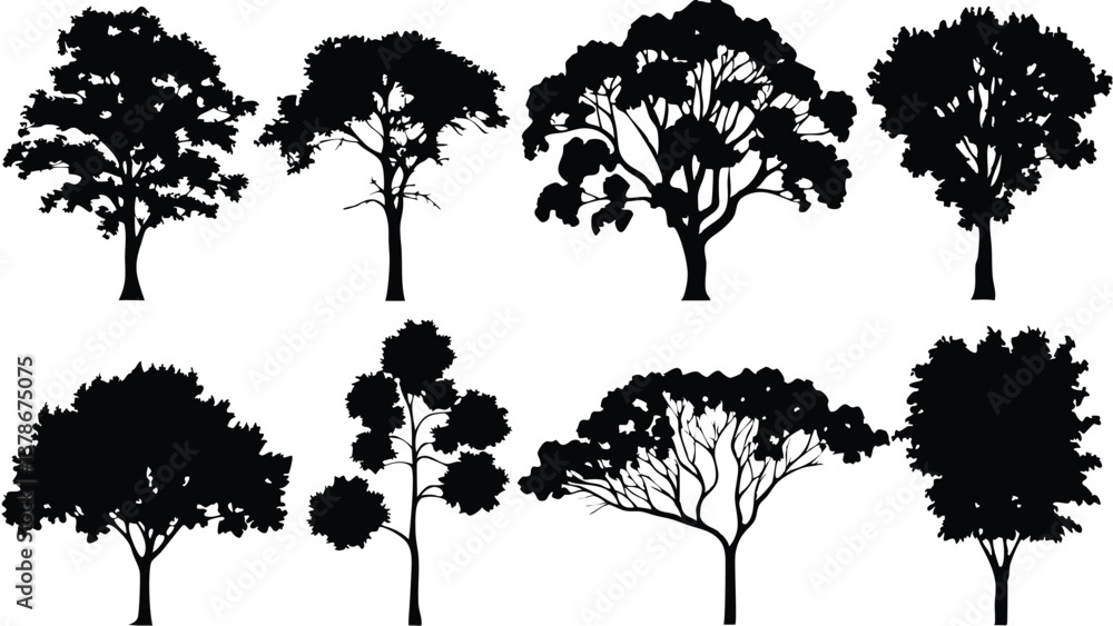 Fototapeta premium Silhouette Tree Line Drawing Set – Vector Outline Trees for Architecture & Landscape Design