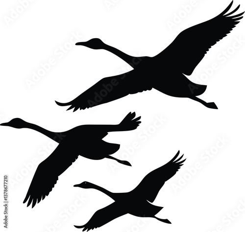 Swans Flying Silhouette Against Transparent Backdrop for Elegant Visuals