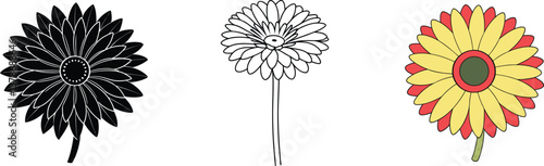 Gerbera Daisy Variations Black, White, and RedYellow Flower