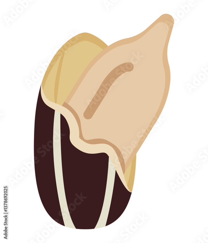 opened sunflower seed showing its inner kernel designed in a flat and clean style.