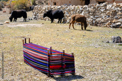 animals and colored weaving thread