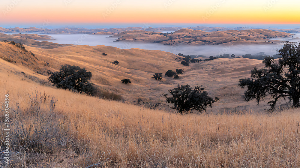 Fototapeta premium A beautiful landscape with a foggy sky and a lake in the background