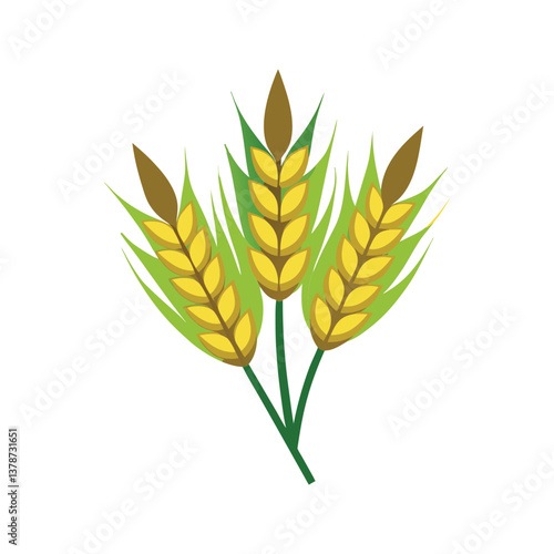 Wheat grain plant with green leaves vector illustration isolated on white background