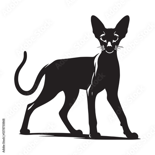 Powerful Oriental Shorthair silhouette, capturing its agile and athletic nature - Oriental Shorthair illustration - Oriental Shorthair vector - cat silhouette

