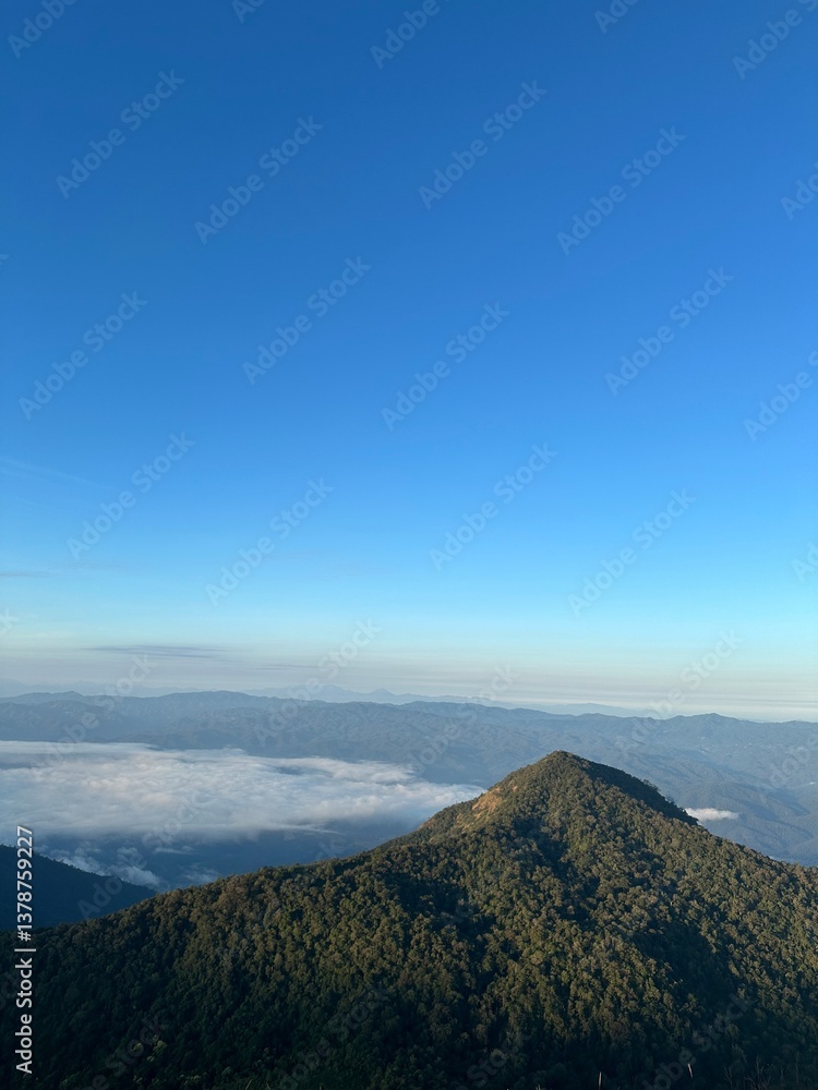 Fototapeta premium view of the mountains