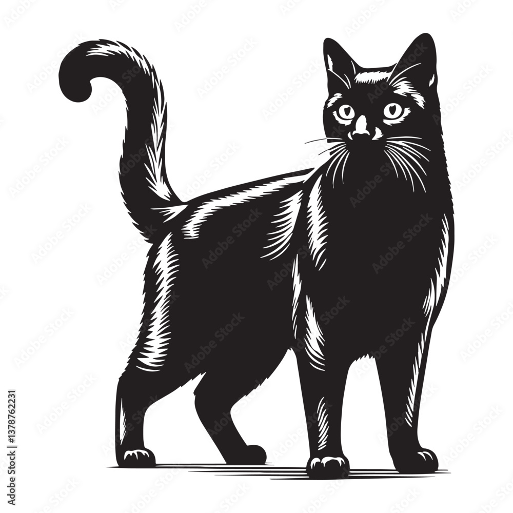 Obraz premium Mysterious Russian Blue silhouette, capturing its enigmatic personality - Russian Blue illustration - Russian Blue vector - cat silhouette