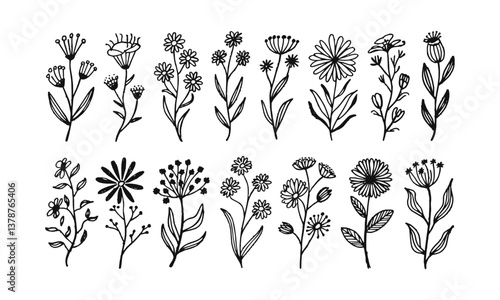 Modern vector illustration featuring a collection of hand-drawn botanical doodles, easily editable.