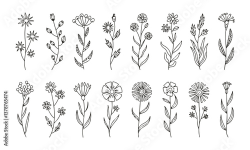 Modern vector illustration featuring a collection of hand-drawn botanical doodles, easily editable.