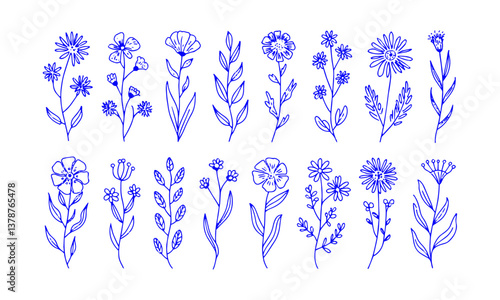 Modern vector illustration featuring a collection of hand-drawn botanical doodles, easily editable.