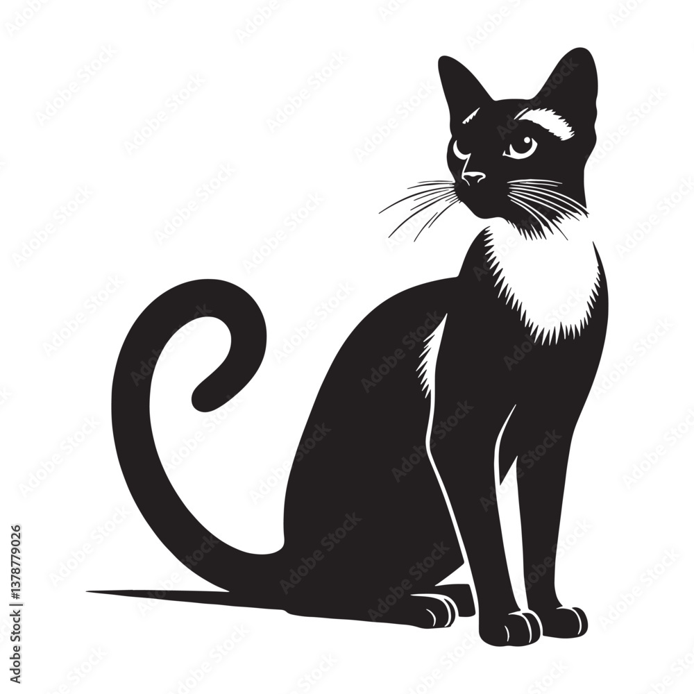 Obraz premium Graceful Siamese silhouette, embodying the breed's refined and agile stance - Siamese illustration - Siamese vector - cat silhouette