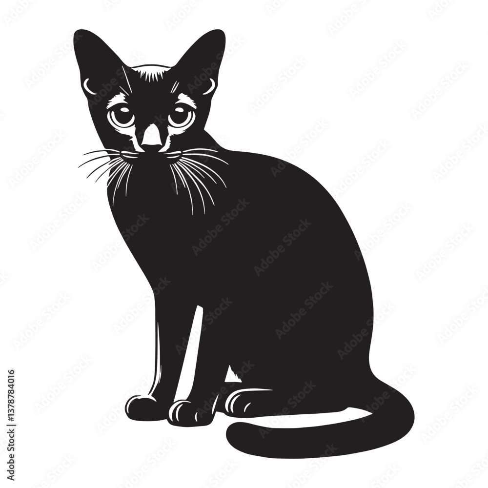 Obraz premium Playful Singapura silhouette, capturing the breed's lively and curious nature - Singapura illustration - Singapura vector - cat silhouette