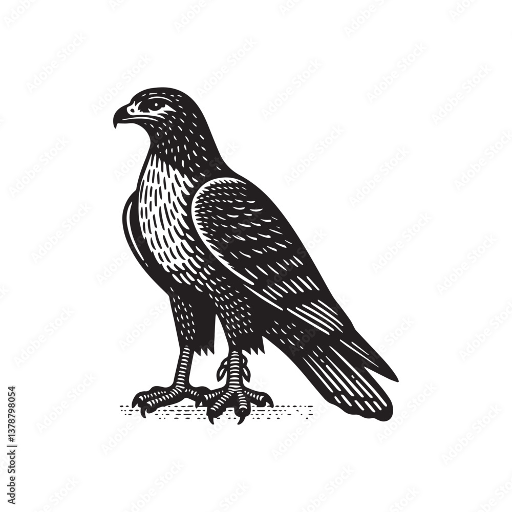 Fototapeta premium Simple Red-tailed Hawk Side View Vector Icon – Vintage Logo & Retro Illustration