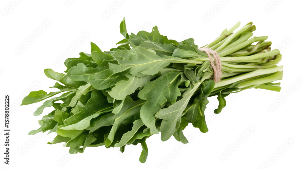 fresh spinach leaves fresh spinach leaves