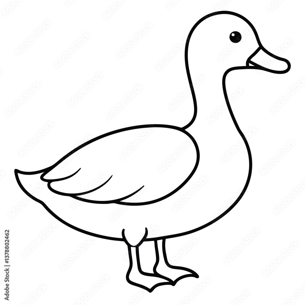Obraz premium Vector illustration of a duck